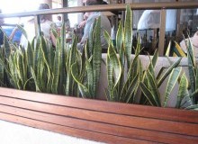 Kwikfynd Indoor Planting
bugleranges