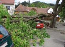 Kwikfynd Tree Cutting Services
bugleranges