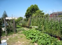 Kwikfynd Vegetable Gardens
bugleranges